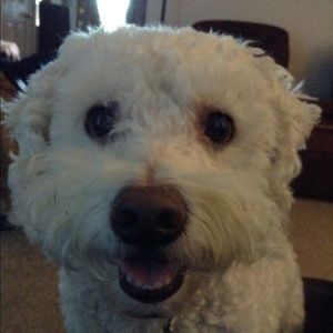 Meet your Posher, Christy